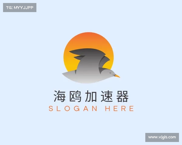 知道海鸥加速器